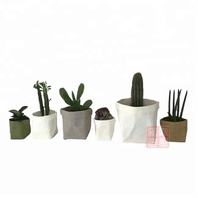 wholesale planter bags paper bag plant for flower clothes washable kraft paper plant bag